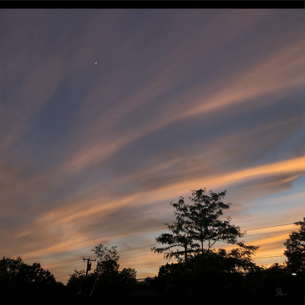 Meet your Posher, Julie